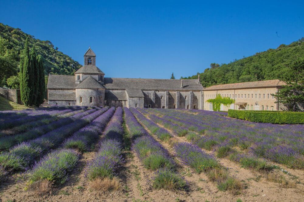 Abbaye Notre-Dame de Sénanque ©HOCQUEL Alain