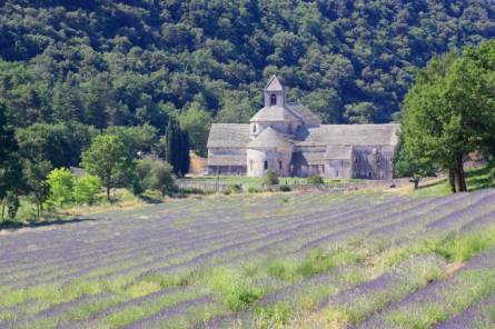 Notre-Dame de Sénanque Abbey