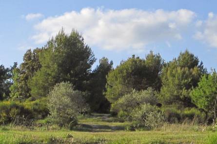 Roumavagi Farm Campsite