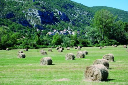 The village of Monieux