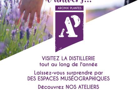 Distillerie Aroma'Plantes