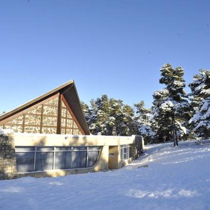 Le Dahut - FOL Vaucluse