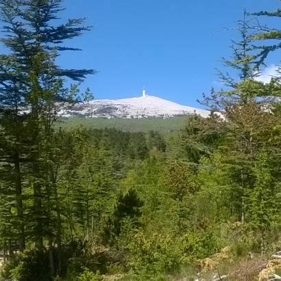 Mont-Ventoux, Biosphere Reserve