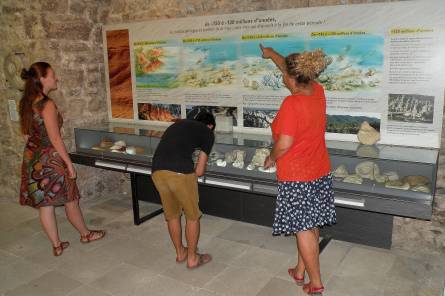 Park House Geology Museum