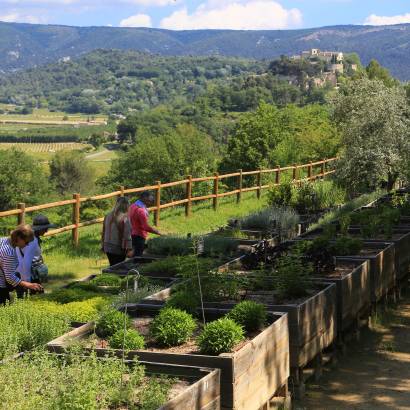 The Citadelle Botanical Garden