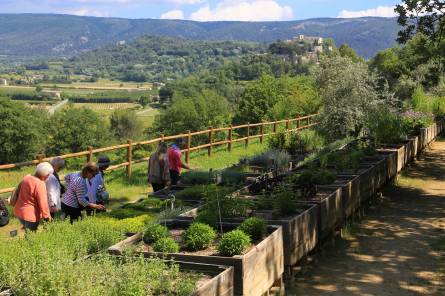 The Citadelle Botanical Garden