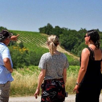 Trail through the heart of our vineyard
