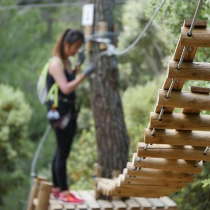 Forest Sensation Treetop Adventures