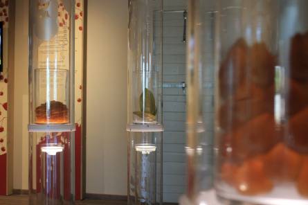 The House of Candied Fruit (La Maison du Fruit Confit)
