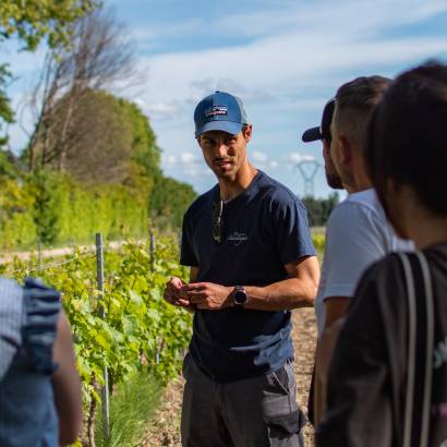 Cellar visit at Domaine de Chantegut