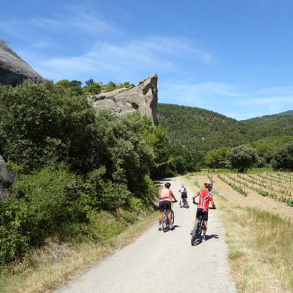 Beaumes-de-Venise, its vineyards and terroirs : Guided bike tour