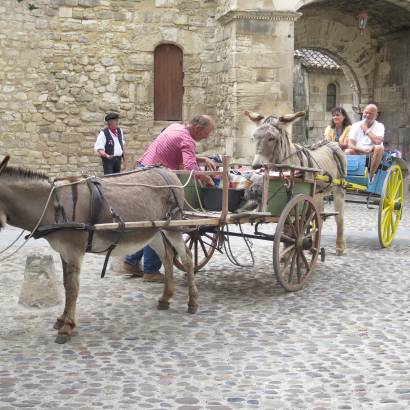 Carriage rides with harnessed donkeys