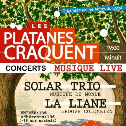 Les platanes craquent