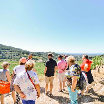 Guided tour of Clos de Caveau