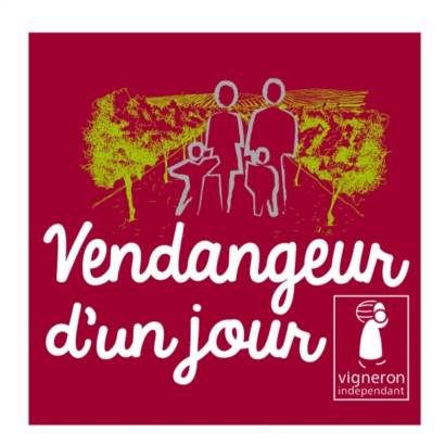 Harvester for a day at Domaine Dames de Lune