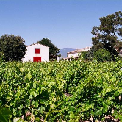 Winemaker aperitif at the Domaine de Marotte