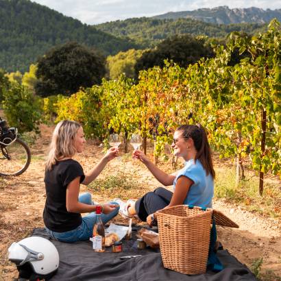 The picnic baskets - Xavier Vignon - La Boutique -  Du Beaumes au coeur
