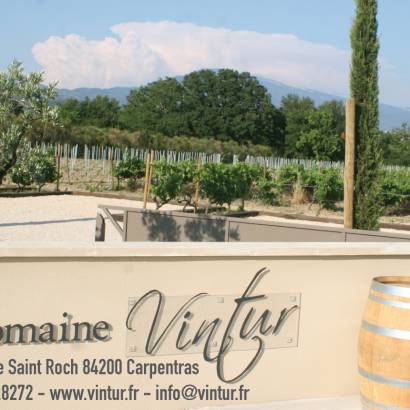 Guided tour of the vineyard and cellar - Domaine Vintur