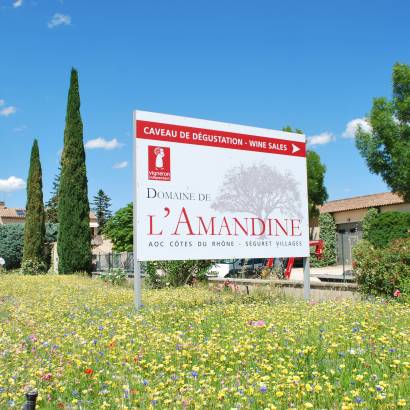 Cellar visit - Domaine de l'Amandine