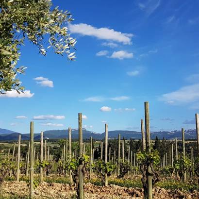 Cellar tour - Domaine Rabasse Charavin