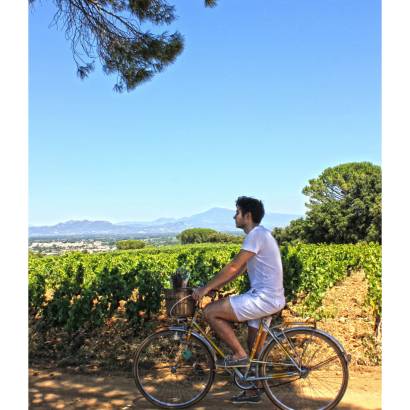 Walking path & gourmet bike tour