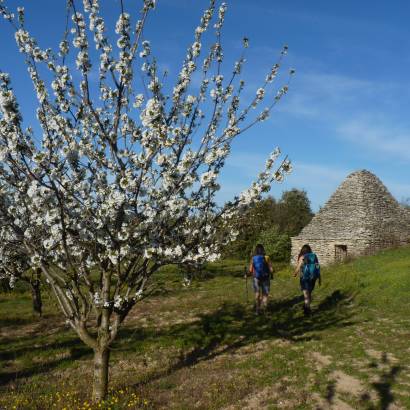 GR® de Pays Luberon - Monts de Vaucluse : Tour du Petit Luberon
