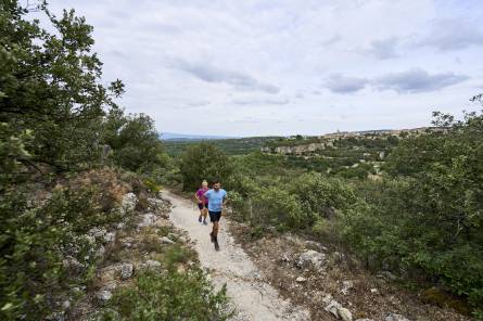 TV07 - Between Venasque and Le Beaucet
