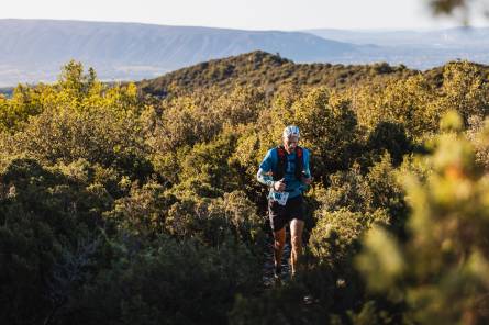 Trail des Monts de Vaucluse