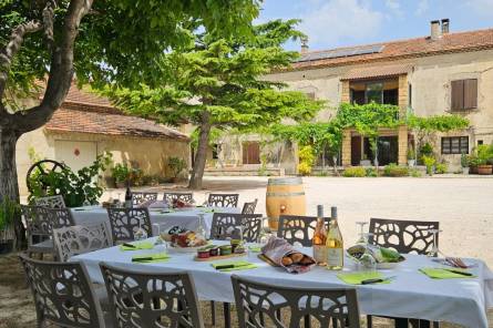 Dégustation et pique-nique - Domaine des Favards