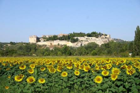 The right bank of the Rhône-bicycle tour-50