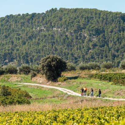 Electric mountain bike ride in the vineyard and tasting - Rhonéa