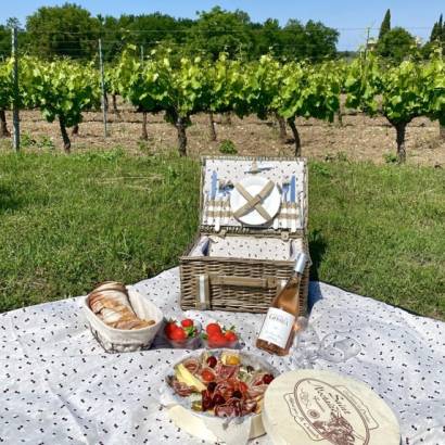 Picnic basket - Terre de Ghaya
