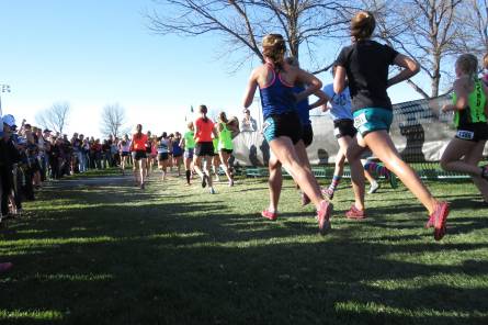 Course -  10 km d'Althen