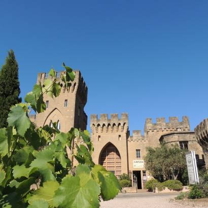 Domaines Mousset - Sarl Les Caves du Château des Fines Roches