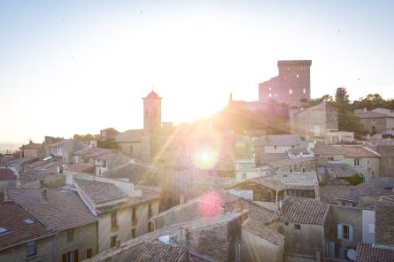 The Popes' Castle