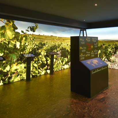 Wine Museum - Maison Brotte