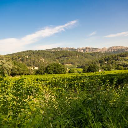Self-guided tour in the footsteps of the Bernardins