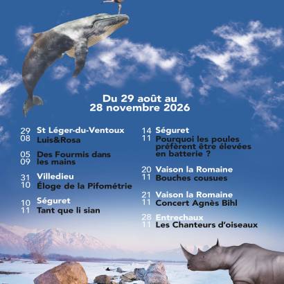 Festival Après les Vendanges