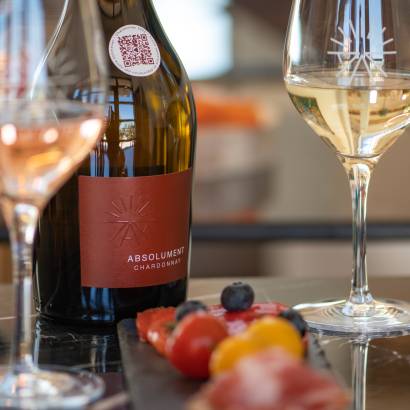 Introduction to Oenology: Wine Tasting and Gourmet Platter at Les Terrasses d'Adrien