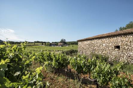 Domaine de Mayol
