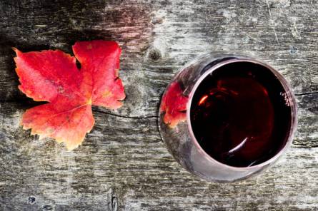 Atelier École des Vins - Les vins des Côtes du Rhône sur un plateau