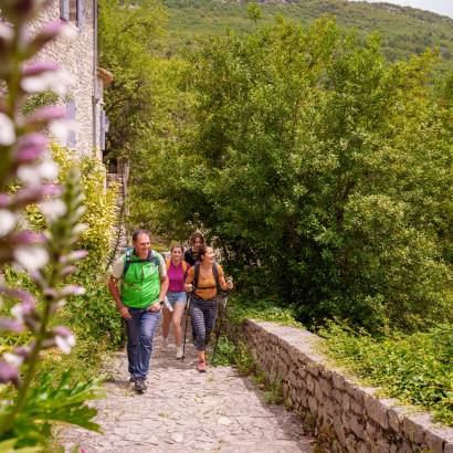 Ventoux Saveurs Festival - Hikes and Meals at the Foot of Mont Ventoux