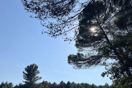 Vignoble Aureto - The wine trail
