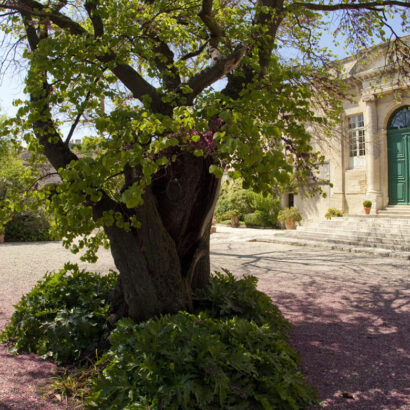 Zen and contemplation at the Abbey Gardens