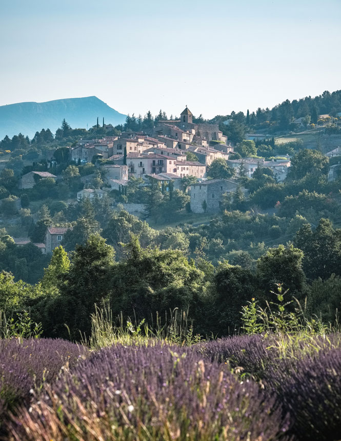 Aurel village and lavender