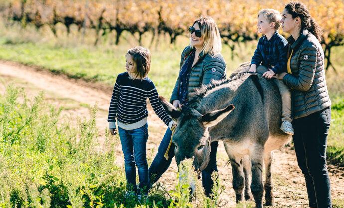 Walk with Donkey