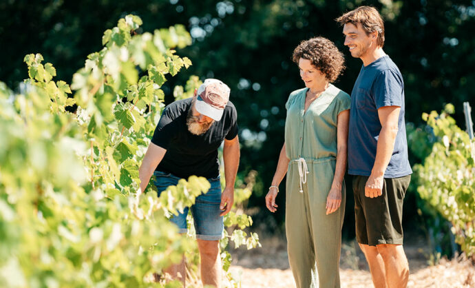 Cylcling in vineyard