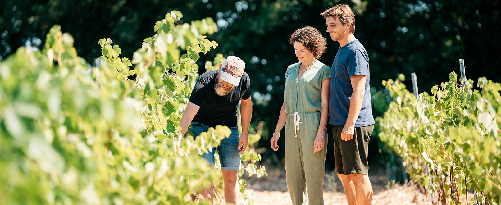 Cylcling in vineyard © O’Brien