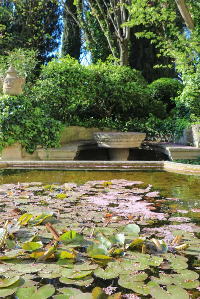 The Saint-André Abbey