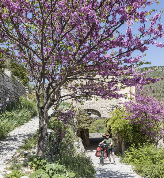 Brantes, village of Ventoux